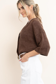 Dante6 |  Alpaca mix cardigan Hiara | brown | Picture 6