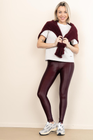 Deblon :  Metallic stretch legging shine | burgundy - img4