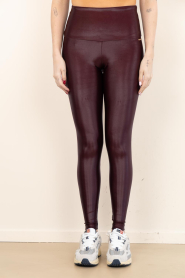 Deblon :  Metallic stretch legging shine | burgundy - img5