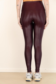 Deblon :  Metallic stretch legging shine | burgundy - img7