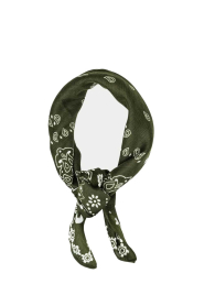 BOW19 :  Scarf with print Paisley | green - img7