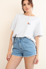 American Vintage :  Cropped T-shirt Atubay | grey - img5