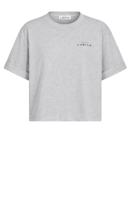 Haute L'Amitié |  Basic T-shirt Crew | grey melange | Picture 1