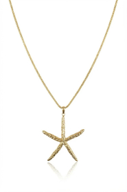 Little Soho |  Necklace with charm Starfish | gold | Picture 1