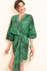 The Belle of the Beach :  Cotton mini dress with print Suzy | green - img6