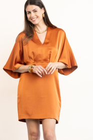 Dante6 |  Satin mini dress Cato | brunt orange | Picture 4