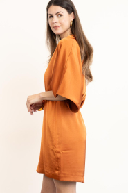Dante6 |  Satin mini dress Cato | brunt orange | Picture 7