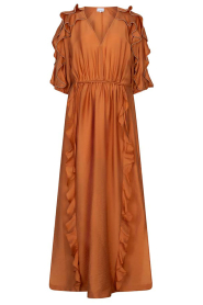 Dante6 |  Maxi dress with rushes Anzur | brunt orange | Picture 1