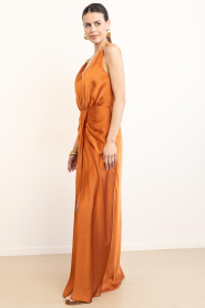 Dante6 |  Satin maxi dress Marcia | brunt orange | Picture 5