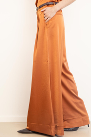 Dante6 |  Satin ultra wide leg trousers Onique | burnt orange  | Picture 6