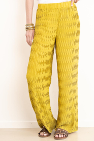 Dante6 |  Plissé trousers Maren | yellow | Picture 5