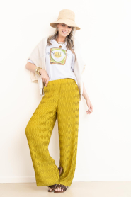 Dante6 |  Plissé trousers Maren | yellow | Picture 4