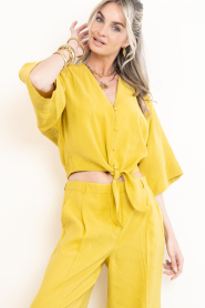 Dante6 |  Knotted cropped top Palou | yellow | Picture 4