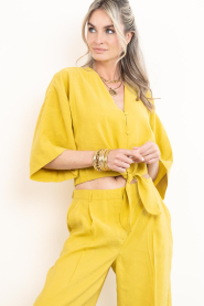 Dante6 |  Knotted cropped top Palou | yellow | Picture 5