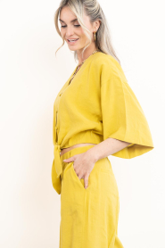 Dante6 |  Knotted cropped top Palou | yellow | Picture 7