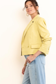 Dante6 :  Viscose blend blazer Reyes | yellow - img8