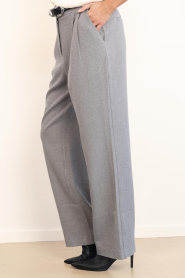 Ibana |  Trousers with pleat Pany | grey | Picture 6