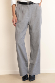 Ibana |  Trousers with pleat Pany | grey | Picture 5