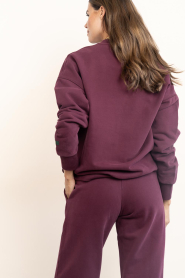 Mercer |  Logo sweater Signature | burgundy | Picture 7