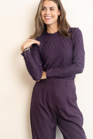 Copenhagen Muse |  Stretch mesh top with structure Jeri | plum | Picture 5