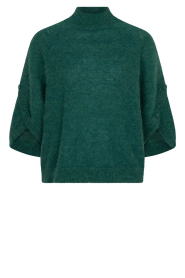 Dante6 |  Soft alpaca sweater Mahani | green