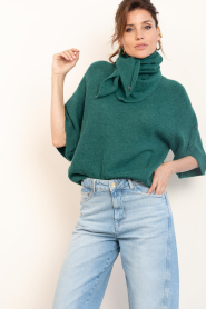 Dante6 :  Soft alpaca sweater Mahani | green - img5
