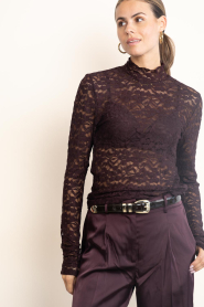 Dante6 |  Lace mesh top Irony | burgundy | Picture 6