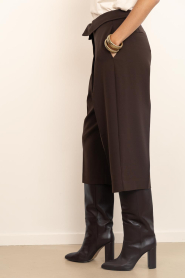 Dante6 |  Cropped trousers Tresor | brown | Picture 6