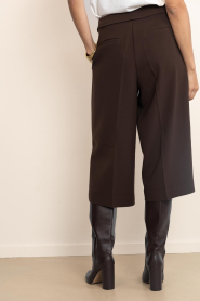 Dante6 |  Cropped trousers Tresor | brown | Picture 7