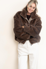 Alter Ego |  Reversible faux fur bomber Ally | dark brown | Picture 5