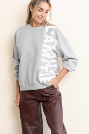 Haute L'Amitié :  Sweater with logo Maxi | grey - img8