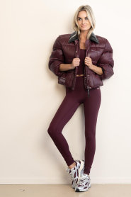 Haute L'Amitié |  Short puffer jack Climb | burgundy | Picture 3