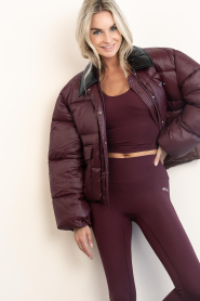 Haute L'Amitié |  Short puffer jack Climb | burgundy | Picture 4