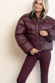 Haute L'Amitié |  Short puffer jack Climb | burgundy | Picture 6