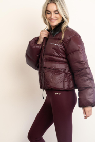 Haute L'Amitié |  Short puffer jack Climb | burgundy | Picture 7