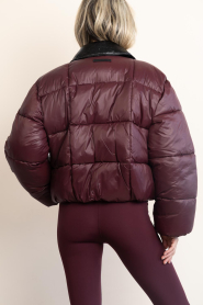 Haute L'Amitié |  Short puffer jack Climb | burgundy | Picture 8