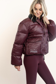 Haute L'Amitié |  Short puffer jack Climb | burgundy | Picture 9