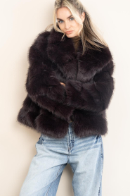 Badits |  Faux fur jacket Munich | burgundy | Picture 2