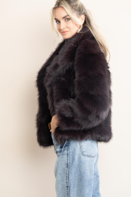 Badits |  Faux fur jacket Munich | burgundy | Picture 6