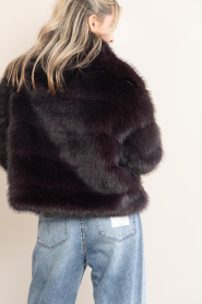 Badits |  Faux fur jacket Munich | burgundy | Picture 7