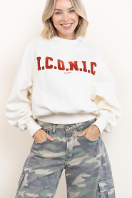 Badits |  Sweater Iconic | ecru | Picture 5
