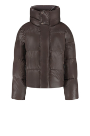 Deblon |  Puffer jacket Selma | brown | Picture 1
