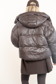 Deblon |  Puffer jacket Selma | brown | Picture 6