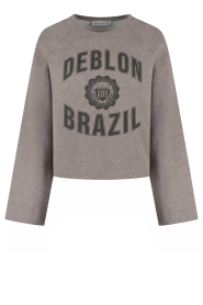 Deblon |  Boxy sweater Aymee | brown | Picture 1