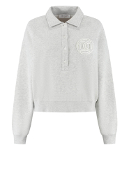 Deblon |  Polo sweater with logo | grey | Picture 1