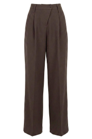IRO |  Fine pleated trousers Ascend | brown | Picture 1