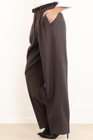 IRO |  Fine pleated trousers Ascend | brown | Picture 6