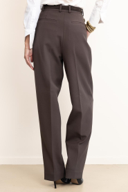 IRO |  Fine pleated trousers Ascend | brown | Picture 7