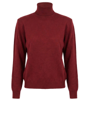 March23 |  Soft wool blend turtleneck Anna | rust
