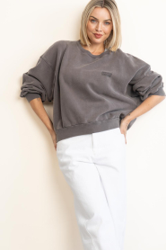 American Vintage |  Cotton sweater with logo Jitbay | taupe | Picture 2